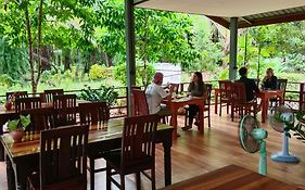 Khao Sok River & Jungle Bungalow