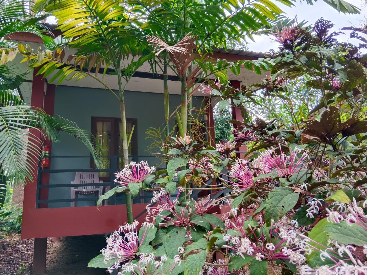 Khao Sok River & Jungle Bungalow Khao Sok National Park Exterior photo