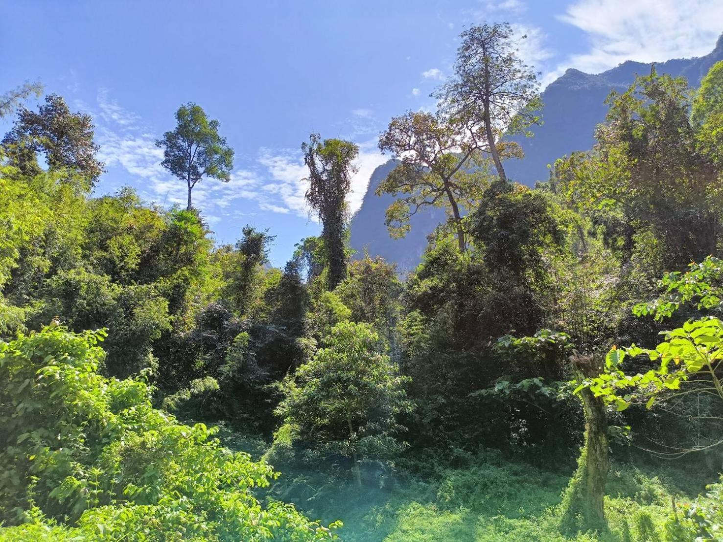 Khao Sok River & Jungle Bungalow Khao Sok National Park Exterior photo